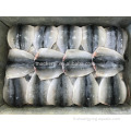 Rabats de poisson maquerel congelé IQF chinois